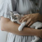 What owning a cat does to your brain (and theirs)