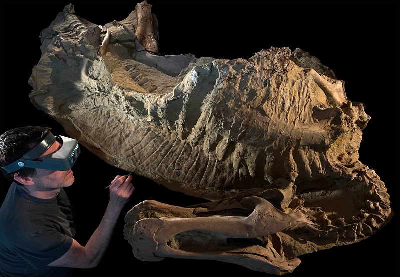 Sorry! Image not available at this time