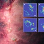 Gravity vs. magnetism: How the universe shapes giant stars