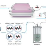 Scientists create sustainable plastic from the carbon dioxide in the ocean