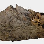 Scientists reveal 1,000-year-old gut bacteria from ancient Mexican mummy