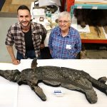 Scientists unveil Xiphodracon, a rare Jurassic sea dragon from Britain