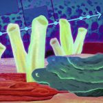 Sea sponges may have been Earth’s first animals, new study shows