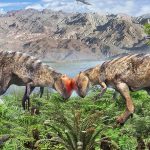 Teen dinosaur fossil reveals secrets of dome-headed dinosaurs