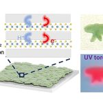 UCLA scientists create stretchable material for future photonic devices