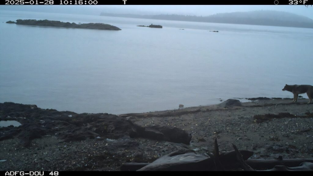 Sorry! Image not available at this time