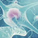 Scientists find a very early sign of Alzheimer’s disease