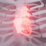 Tiny blood fragments play a big role in heart disease