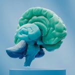 Scientists discover a new cause of stroke