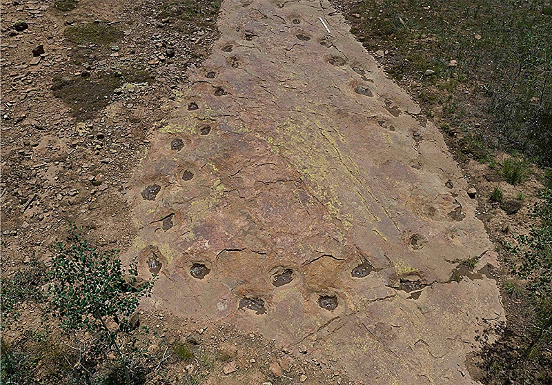 Sorry! Image not available at this time