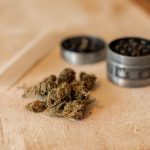 Why more cannabis users end up in the ER with severe vomiting