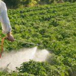 Common pesticide linked to hidden brain damage, study finds
