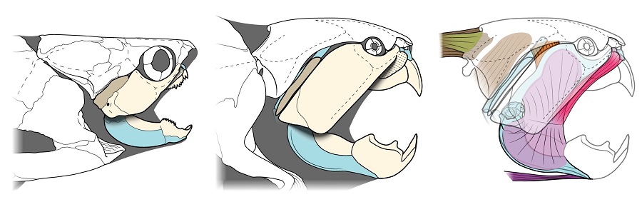 Sorry! Image not available at this time