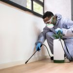 Cockroaches can dramatically poison the air you breathe