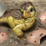 Dinosaur eggshells provide a new way to tell time in the fossil record