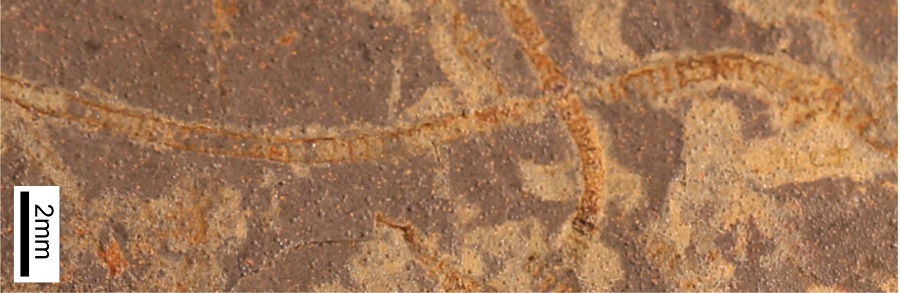 Sorry! Image not available at this time