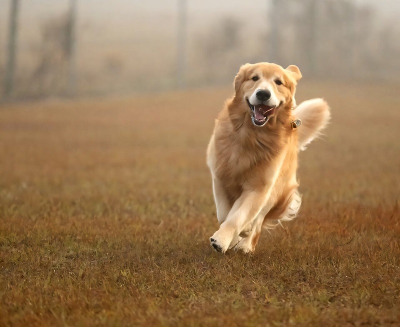 Sorry! Image not available at this time