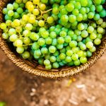 Can grape seed extract help slow prostate cancer growth?