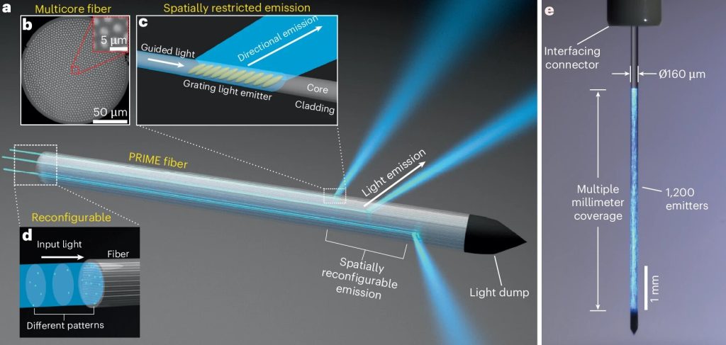 Sorry! Image not available at this time