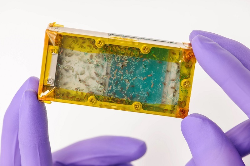 Sorry! Image not available at this time