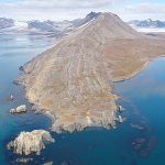 How tiny algae may have helped life survive Earth’s worst mass extinction