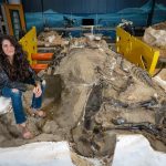 Nanotyrannus discovery changes everything we knew about T. rex, study finds