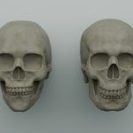 Neanderthal DNA offers clues to how our faces took shape