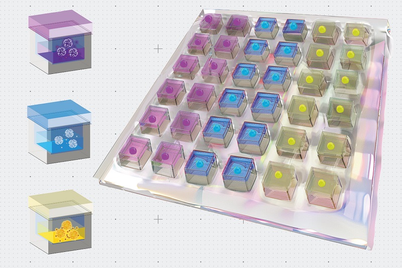 Sorry! Image not available at this time