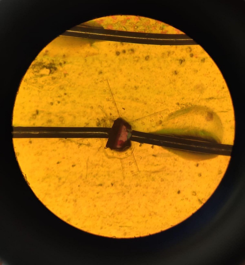 Sorry! Image not available at this time