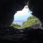 Prehistoric humans may have kept wolves on an isolated island, study finds