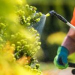 A common pesticide can cause hidden brain damage
