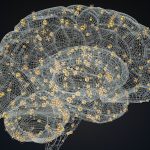 Study shows a hidden cause of brain inflammation in Alzheimer’s disease