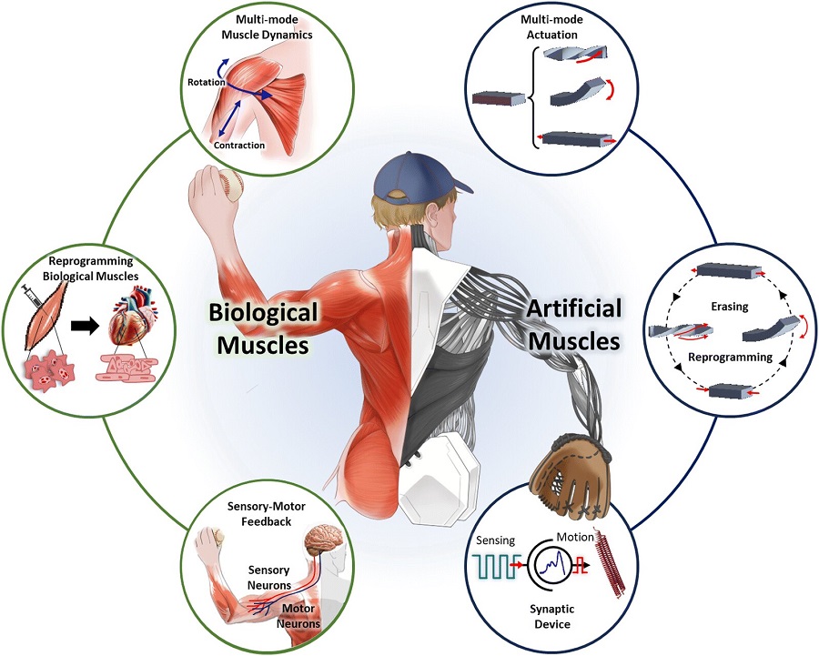 Sorry! Image not available at this time