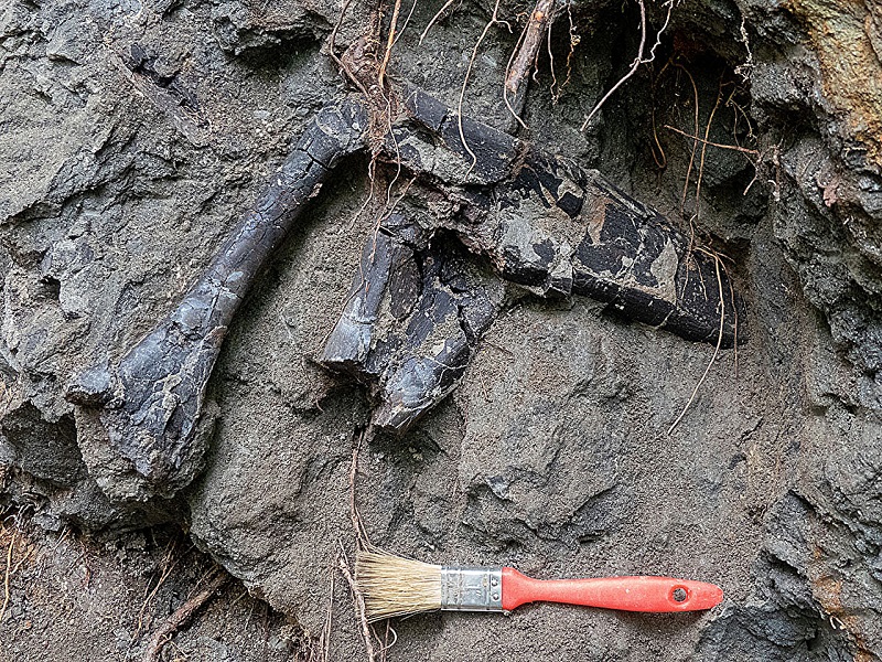 Sorry! Image not available at this time