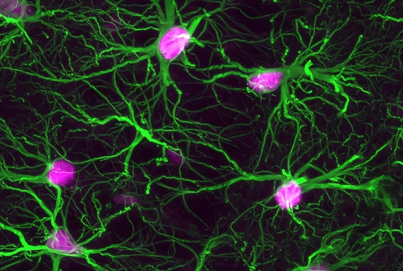 Sorry! Image not available at this time