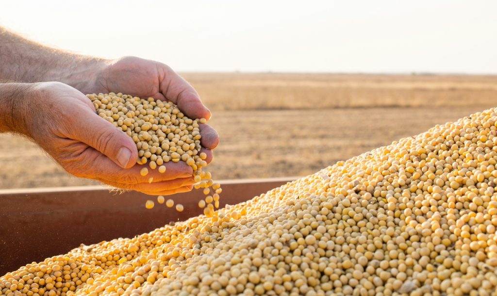 Sorry! Image not available at this time