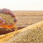 Soy food intake may reduce cancer risk, study shows