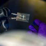 Stretchable screens take a big leap forward with new smart materials