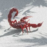 Amazonian scorpion venom can help treat breast cancer, study finds