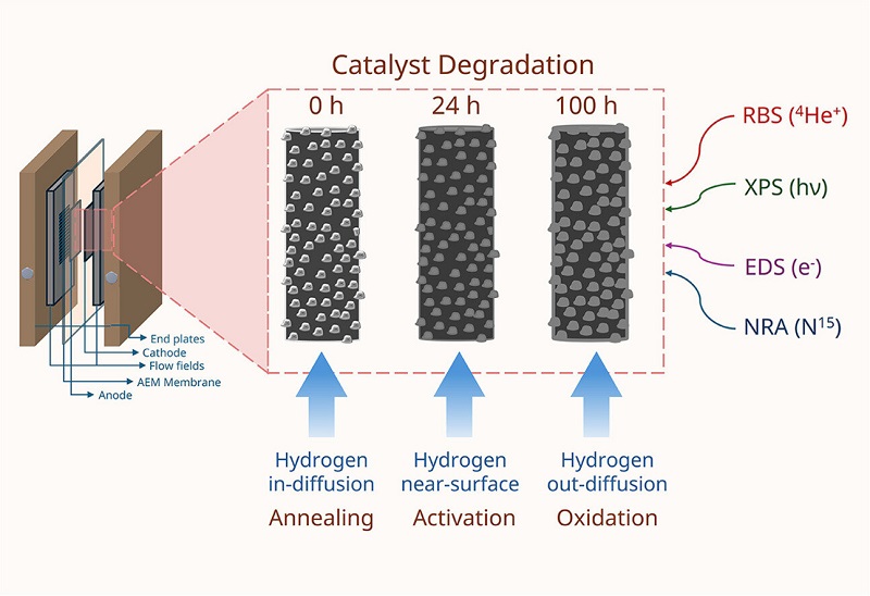 Sorry! Image not available at this time