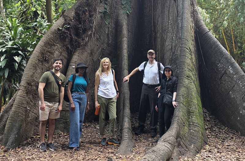 Sorry! Image not available at this time