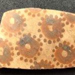 Ancient flower art reveals mathematical thinking 8,000 years ago