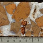 Ancient undersea lava acts as a giant carbon sponge, scientists find