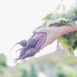 Beetroot juice could help lower high blood pressure