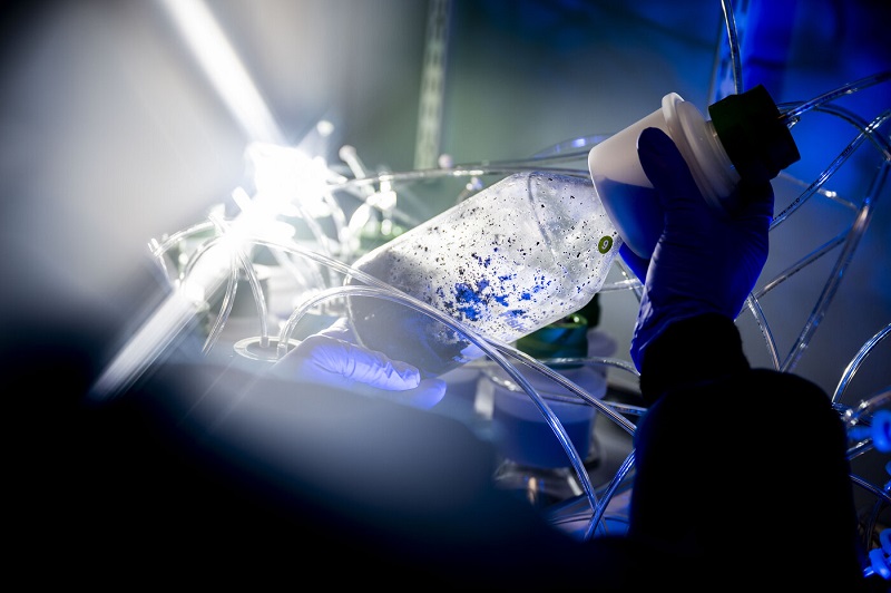 Sorry! Image not available at this time