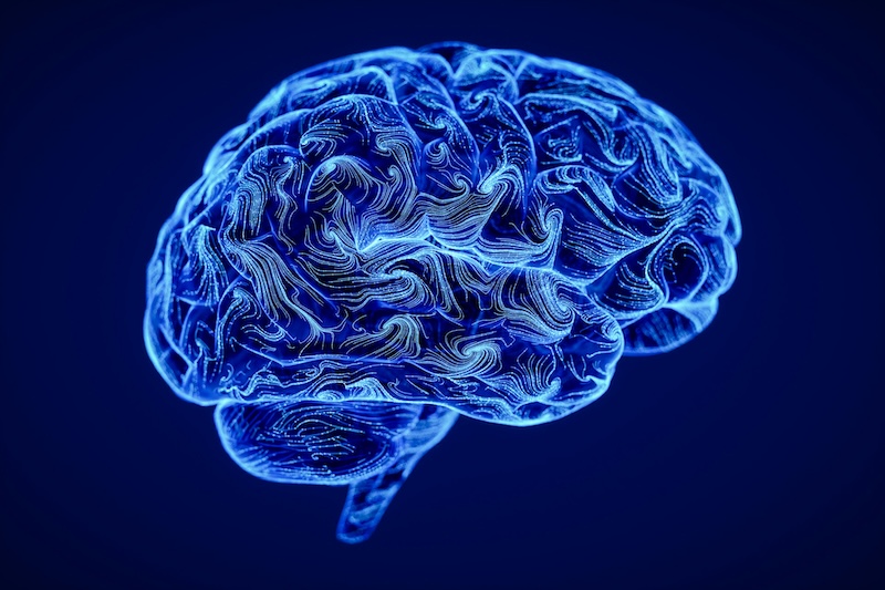 Sorry! Image not available at this time