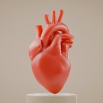 Your heart has its own ‘mini-brain’, study finds
