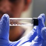 How ants could inspire the next generation of antibiotics