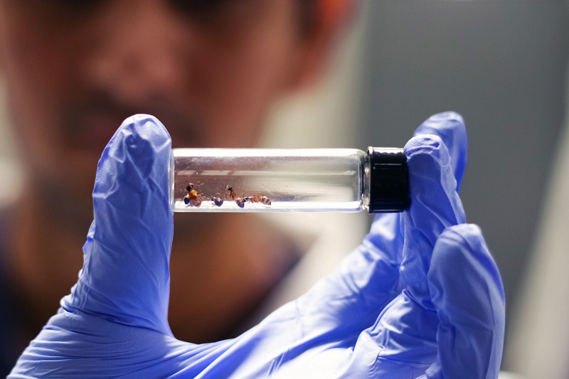 Sorry! Image not available at this time