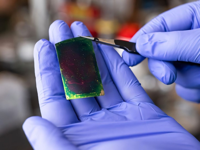 Sorry! Image not available at this time